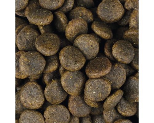 Detailní záběr suchého krmiva pro psy