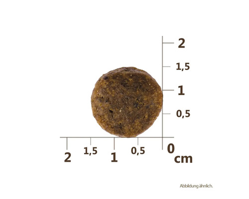Jeden kus suchého krmiva s uvedením velikosti v centimetrech