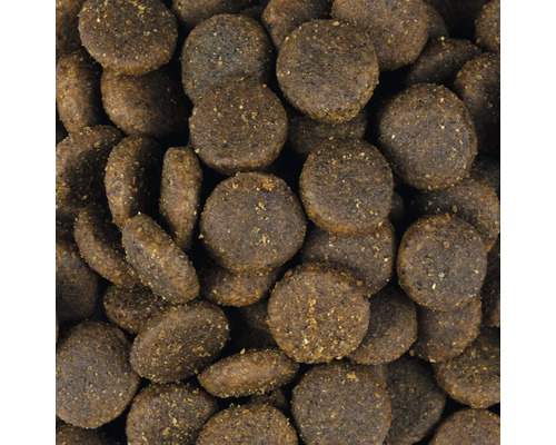 Detail kulatých suchých krmiv pro psy