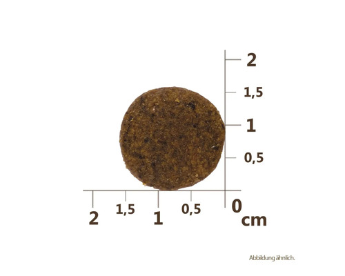 Jeden kus krmiva pro psy s centimetrovou stupnicí pro indikaci velikosti.