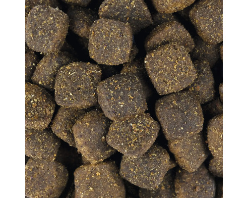 Detailní záběr suchého krmiva pro psy