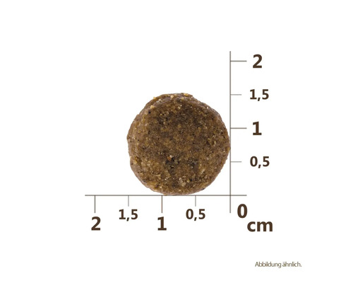 Jeden kus krmiva pro psy s udáním velikosti v centimetrech