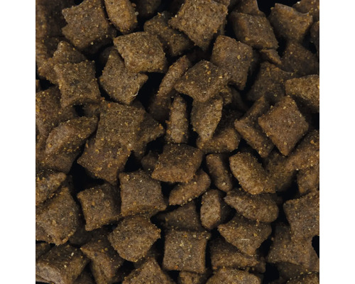 Detailní pohled na suché krmivo pro psy