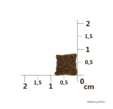 Jeden kus suchého krmiva pro psy s uvedením velikosti v centimetrech