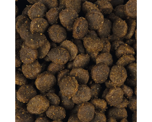 Detail suchého krmiva pro psy