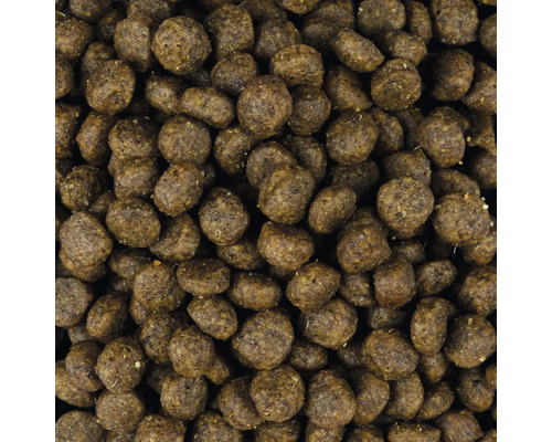 Detailní záběr suchého krmiva pro zvířata