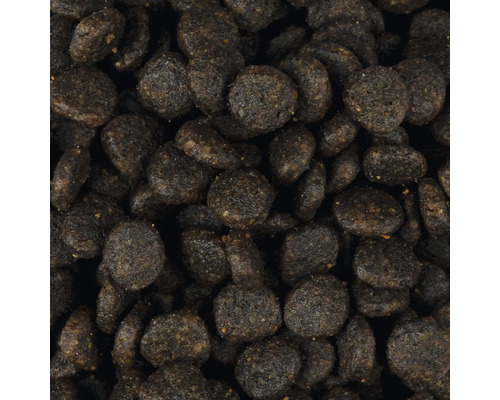 Detailní záběr suchého krmiva pro psy