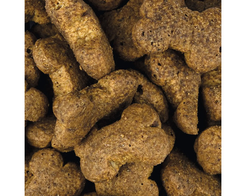 Detailní pohled na psí krmivo ve tvaru kostí