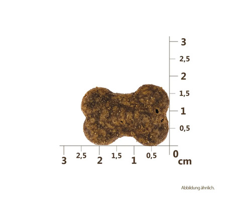 Sušenka pro psy ve tvaru kosti s udáním velikosti v centimetrech