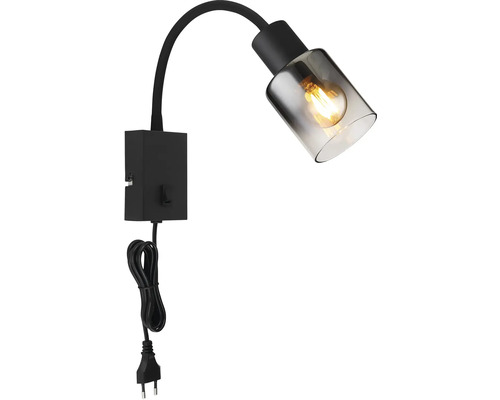 Nástěnné svítidlo z kovu a skla s vypínačem a zástrčkou