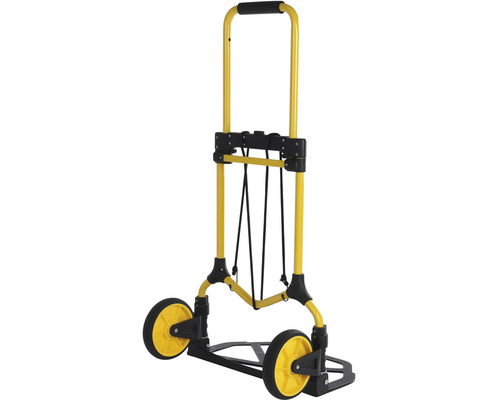 Žlutý a černý rudl