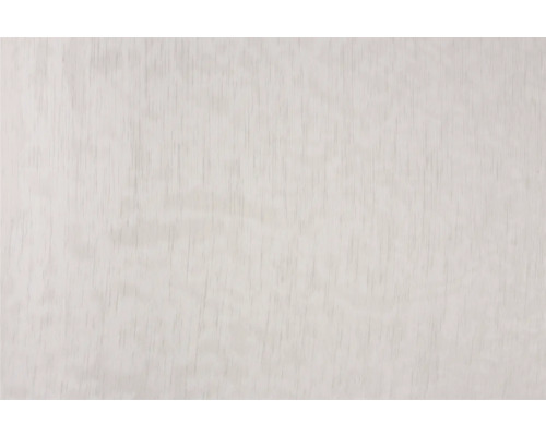 Textura dřeva, světlá