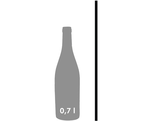 Láhev o objemu 0,7 litru