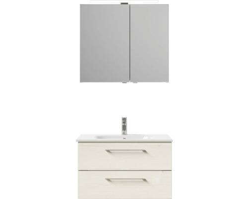 Kombinace umyvadla se zrcadlovou skříňkou a dvěma zásuvkami