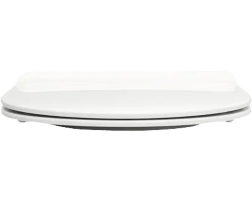 Toaletní sedátko ze sanitární keramiky