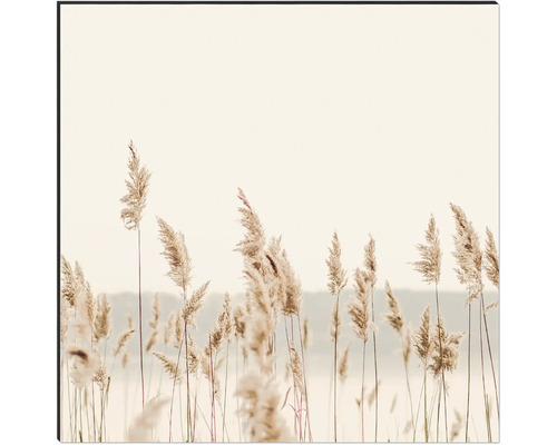 Dekorativní nástěnný obraz s motivem rákosu do obývacích pokojů