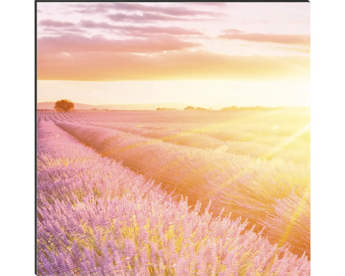 Dekorativní nástěnné umění s levandulovým polem při východu slunce