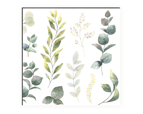 Ilustrace různých listů a větví