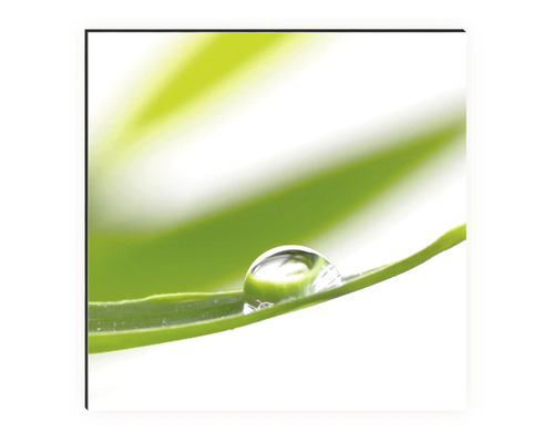 Dekorativní nástěnný obraz s kapkou vody na listu