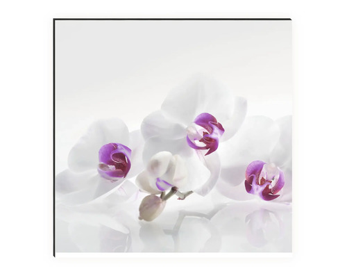 Dekorativní nástěnný obraz s motivem orchidejí