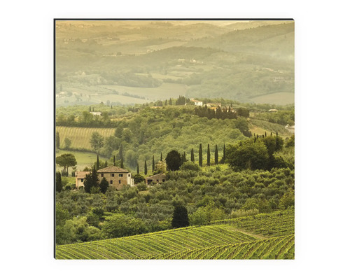 Malba toskánské krajiny s vinicemi a domy