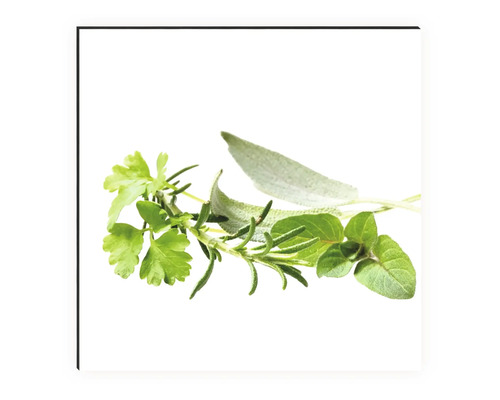 Různé čerstvé bylinky jako petržel, rozmarýn, šalvěj a oregano