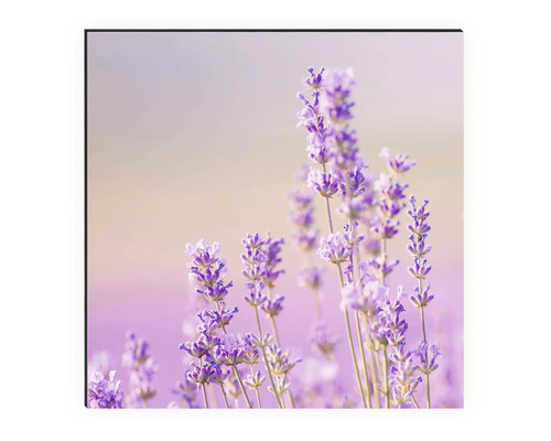 Dekorativní nástěnné umění s motivem levandule do interiéru