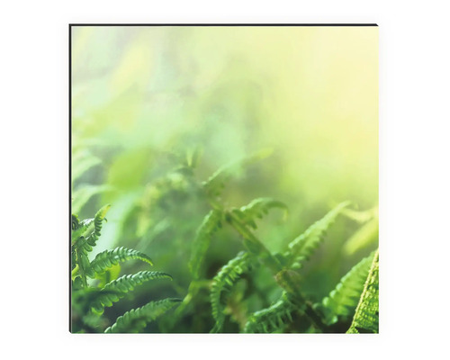 Detailní záběr kapradin na plátně