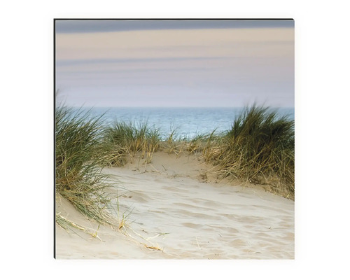 Nástěnný obraz s motivem písku, trávy a moře