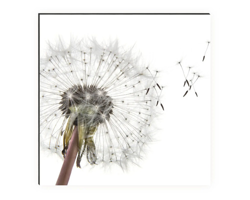 Dekorativní nástěnný obraz se smetánkou v detailu