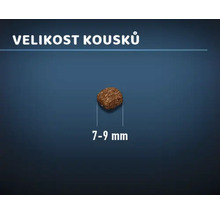 Velikost kousku 7 až 9 milimetrů