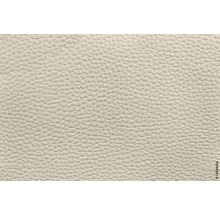 Detailní záběr struktury kůže