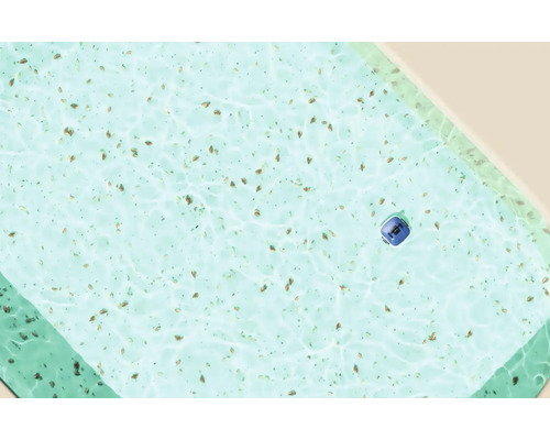 Bazén s bazénovým robotem a listím