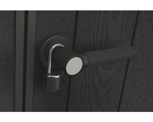 Černé dveře s klikou a visacím zámkem