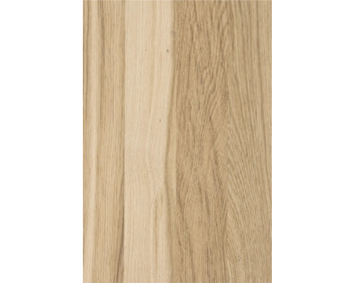 Struktura dřeva, dubové dřevo