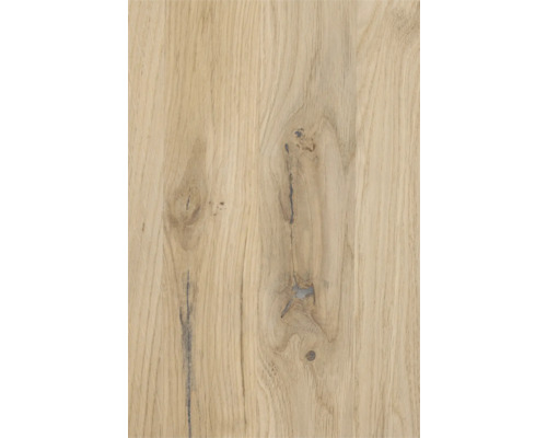 Struktura dřeva se suky