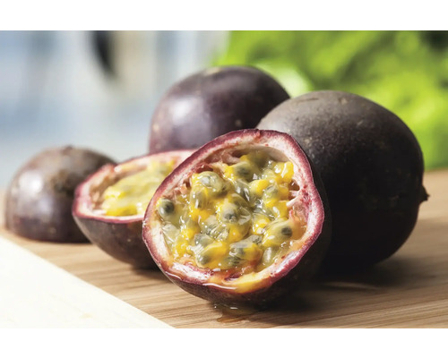 Mučenka jedlá BIO FloraSelf Bio Passiflora edulis 'Suntropics' květináč 3 l Několik marakuj, celé i rozpůlené, na dřevěné desce