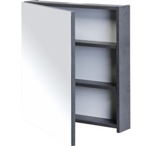Zrcadlová skříňka bez osvětlení Sanox 60 x 13 x 65 cm beton antracitově šedá 1 dvířka