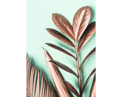 Dekorativní rostliny s listy s kovovým efektem