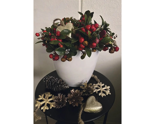 Dekorativní aranžmá s červenými bobulemi a zelenými listy v bílém květináči, ozdobené šiškami, sněhovými vločkami a srdíčky na stole.