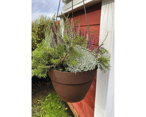 Závěsný květináč s vřesem a zelenými rostlinami