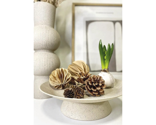 Dekorační podnos se šiškami, papírovými ozdobami a hyacintem.