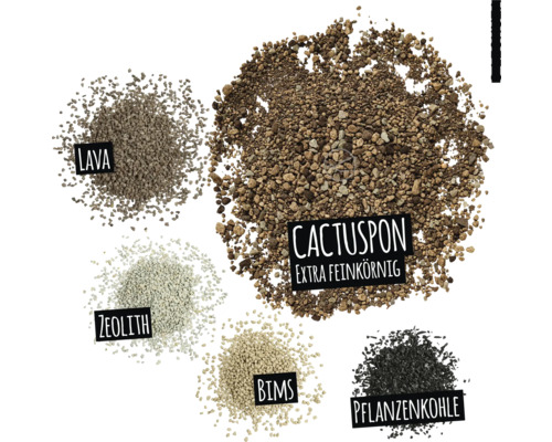 Obrázek různých přísad do zeminy: láva, zeolit, pemza, dřevěné uhlí a extra jemný cactuspon
