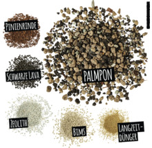 Obrázek různých rostlinných substrátů: borová kůra, černá láva, zeolit, pemza, dlouhodobé hnojivo a Palmpon