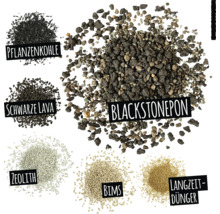 Obrázek různých rostlinných substrátů: rostlinné uhlí, černá láva, zeolit, pemza, dlouhodobé hnojivo a blackstonepon