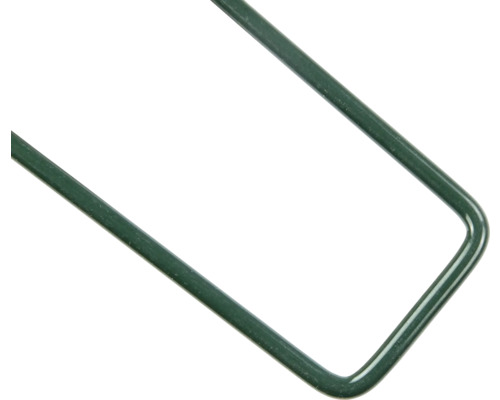 Detailní pohled na roh zelené rostlinné podpěry