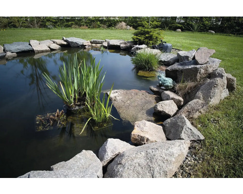 Zahradní jezírko s kameny, vodními rostlinami a žabí figurkou na zahradě