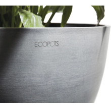 Detailní pohled na květináč s nápisem Ecopots.