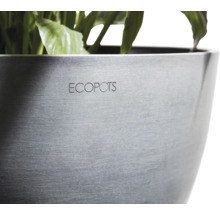 Květináč Ecopots s rostlinou