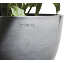 Detailní záběr květináče s nápisem Ecopots